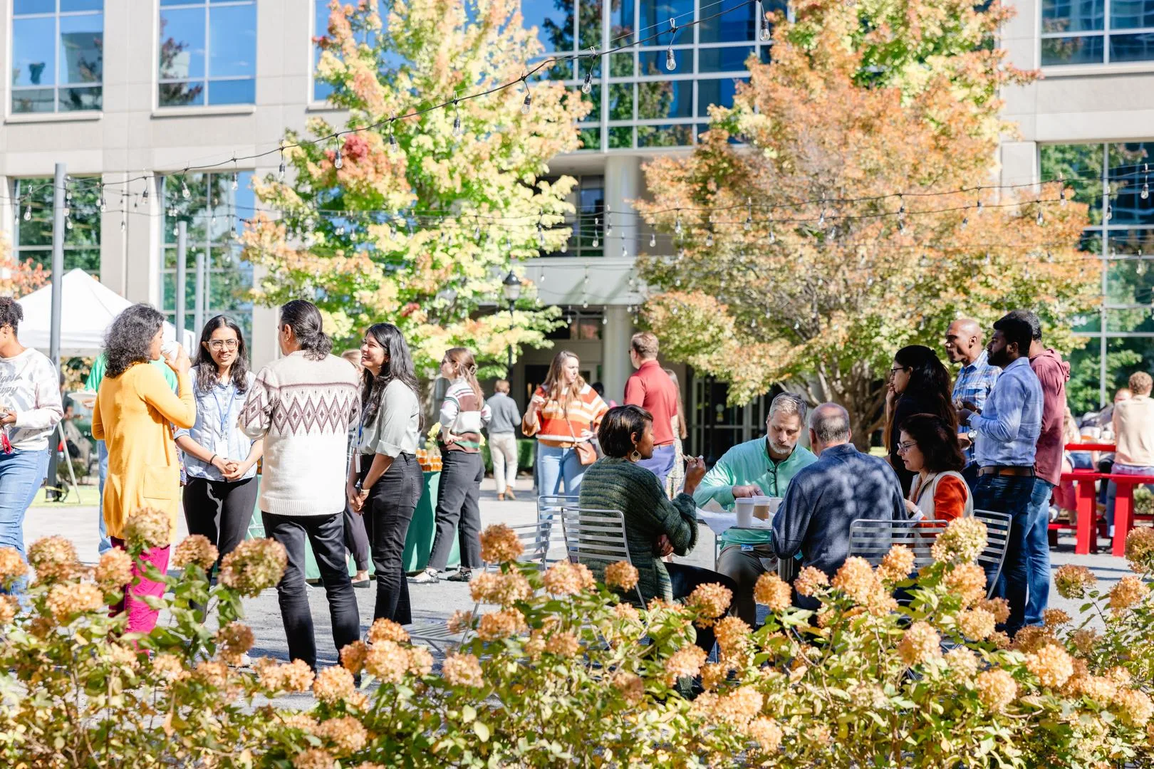 Oro_Luxury_Apartment_Community-Neighborhood29_Charlotte_NC