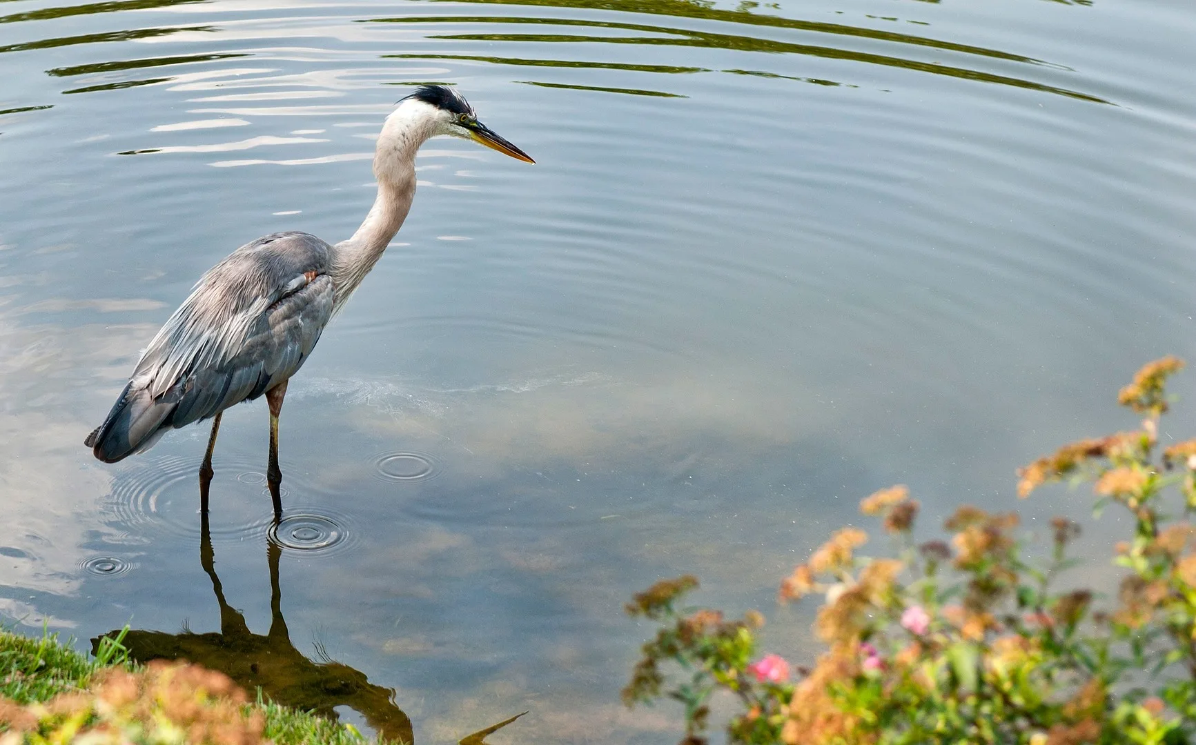 Oro_Luxury_Apartment_Community-Neighborhood16_Charlotte_NC