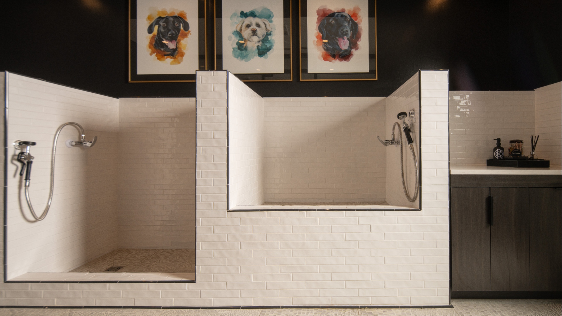 Oro Ballantyne Pet Spa